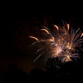 Fireworks von Remco Bruynseels