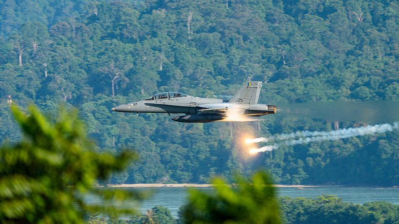 Hi-speed pass Malaysian F/A-18D Hornet. by Jaap van den Berg
