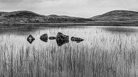 Rocks in loch