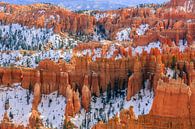 Winter in Bryce Canyon National Park, Utah van Henk Meijer Photography thumbnail