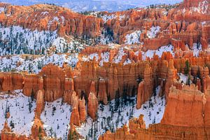 Winter im Bryce Canyon Nationalpark, Utah.