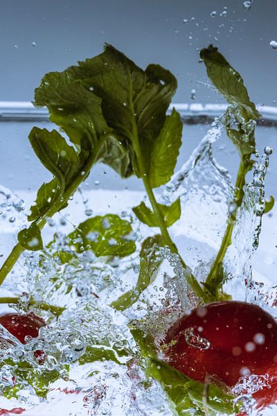 2 Radishes fall into the water by Marc Heiligenstein