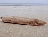 natuurschatten op het strand van Nienke Stegeman thumbnail