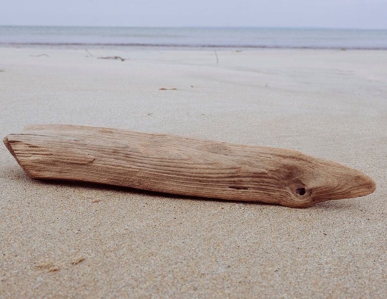 natuurschatten op het strand van Nienke Stegeman