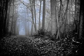 Mystiek van Made by Martin