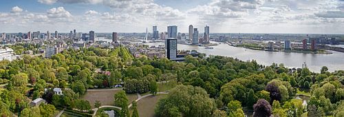 De Erasmusbrug Rotterdam