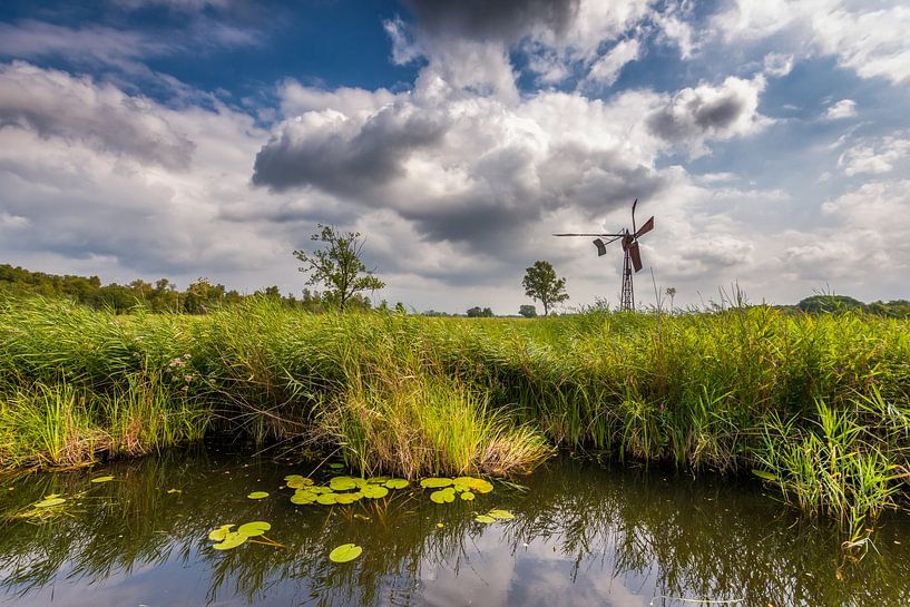 Laagveenmoeras de Weerribben van Jenco van Zalk