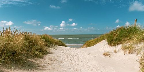 Noordzeestrand nabij Petten Nederland