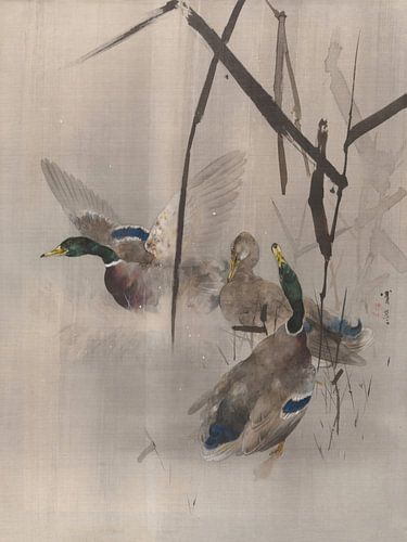 Watanabe Seitei - Ducks in the reeds (1887)
