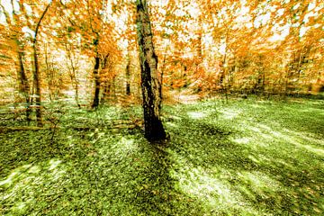 In het bos, abstract van Yanuschka Fotografie | Noordwijk