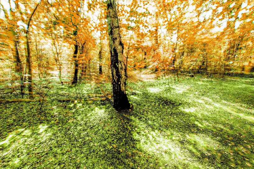 In the forest, abstract by Yanuschka | Fotografie Noordwijk