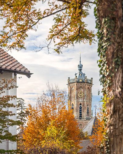 Herfstkleuren omlijsten de Elster Toren. van Nicky Kapel