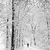 Wandelaar in een bos met sneeuw van Kok and Kok