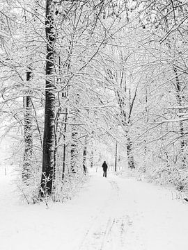 Hiker in a forest with snow