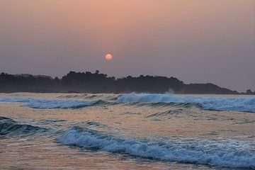 The Sun Also Rises von Matthias Luescher