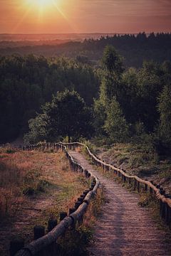 Follow your path by floris Scheerder