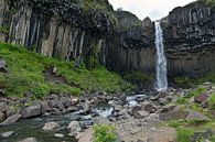 Svartifoss der schwarze Wasserfall von Ab Wubben Miniaturansicht