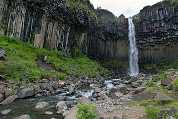 Svartifoss der schwarze Wasserfall von Ab Wubben
