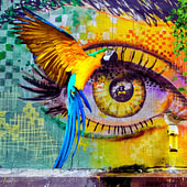 Urban Jungle