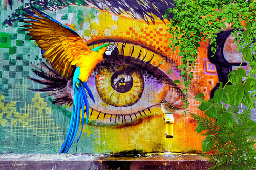 Urban Jungle  graffiti