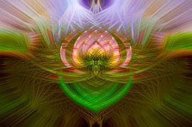 Résumé sur Adri Rovers