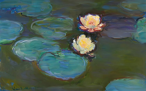 Einzelne Seerose