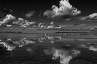 Wolken reflectie in het water met zilverreiger op de achtergrond van Michèle Huge thumbnail