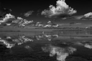 Wolken reflectie in het water met zilverreiger op de achtergrond von Michèle Huge