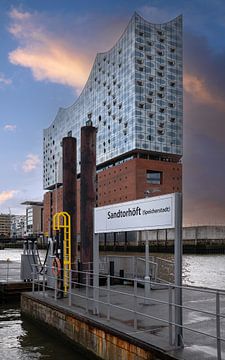 Elbphilharmonie, Hamburg, Duitsland van Alexander Ludwig