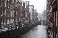 Amsterdam in de winter van Nicole Van Stokkum thumbnail