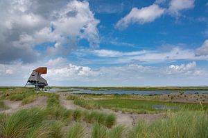 Wachturm Steltloper auf der Marker Wadden
