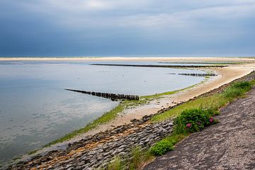 Strand mit Buhnen in Wittdün auf der Insel Amrum