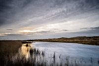 Texel XXV