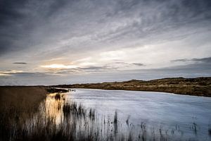 Texel XXV van Steven Goovaerts