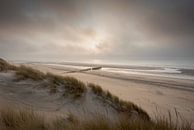 Incoming fog van Jolanda de Leeuw thumbnail