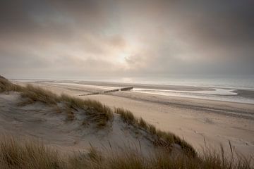 Eingehender Nebel von Jolanda de Leeuw