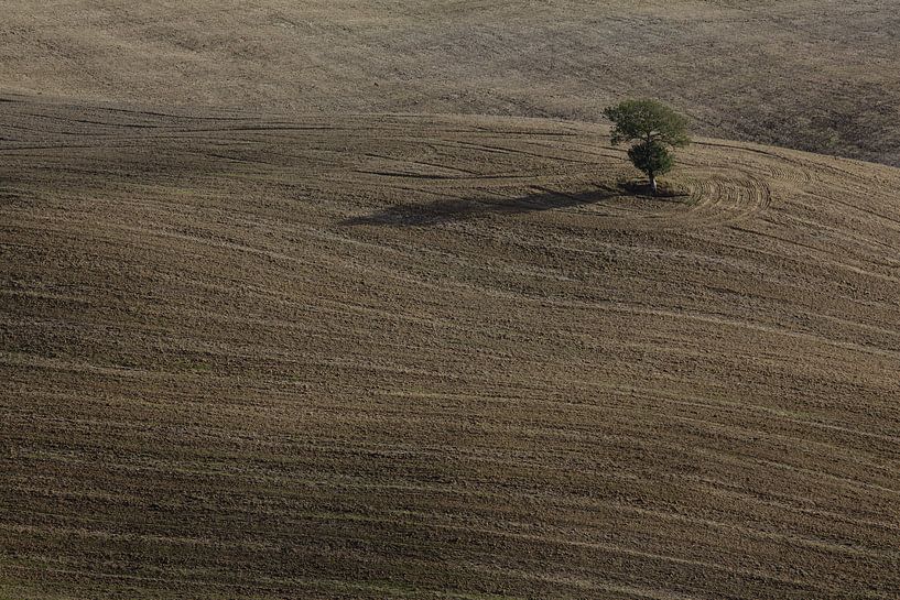 Val d'Orcia von Bart van Dinten