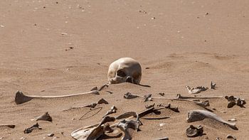 Skeleton in the desert
