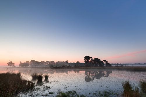 Strabrechtse Heide 211