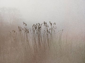 Riet in de mist in zachte aarde kleurige pasteltinten van Imaginative