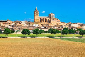 Zicht op het oude dorp Sineu op het eiland Mallorca, Spanje van Alex Winter