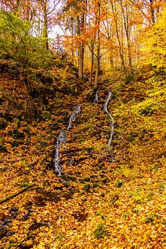 Herbstliche Wanderung durch den Spittergrund bei Tambach-Dietharz zum Wasserfall von Oliver Hlavaty