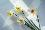 Narcissen - Helder narcissen-kunstwerk van Poster Art Shop thumbnail