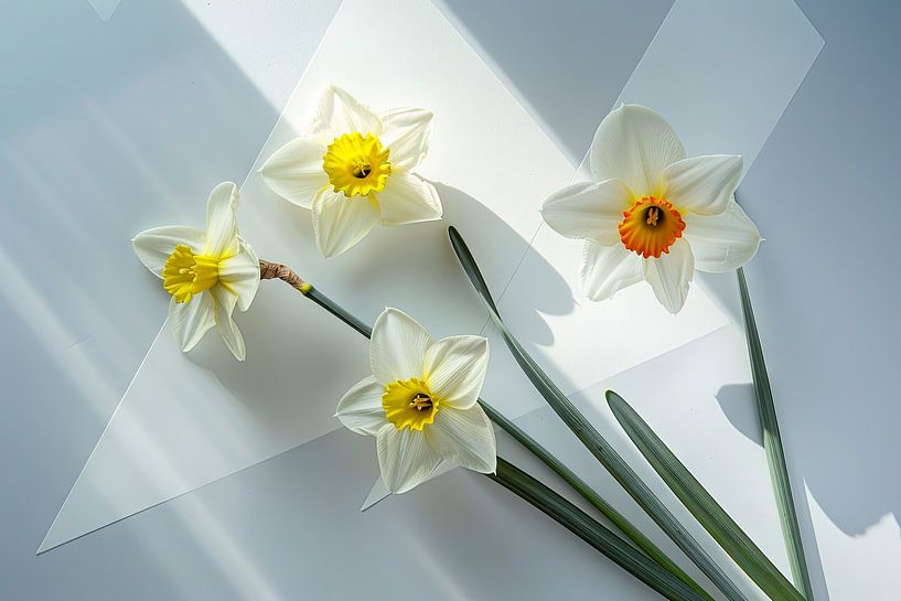 Narcissen - Helder narcissen-kunstwerk van Poster Art Shop
