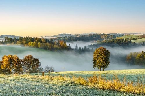 Autumn landscape with fog