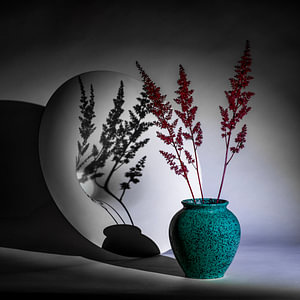vaas met astilbe