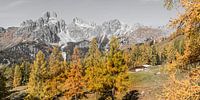 Berglandschap "Almhut in de Alpen" van Coen Weesjes thumbnail