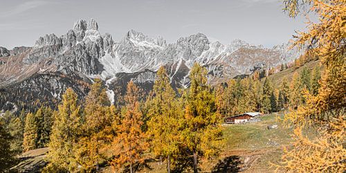 Berglandschap "Almhut in de Alpen" van Coen Weesjes