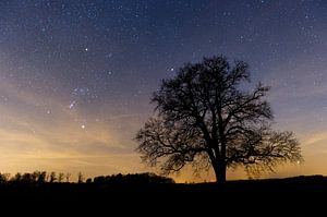 Sternbild Orion am Winterhimmel I von Jörg B. Schubert