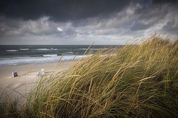 Sylt ganz pur von Beate Zoellner